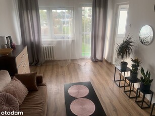 Apartament pod stokiem w Białce,Spa,Recepcja,grill