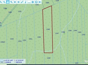 Sprzedam działkę leśną w miejscowości Żeglce, gm. Chorkówka, pow. 0,62ha