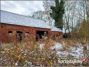 Syndyk sprzeda udział 1/6, działki – Gronów – cena 100% wartości oszacowan…