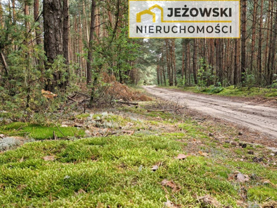 Działka budowlana 54a 4km od Janowca,blisko zalewu