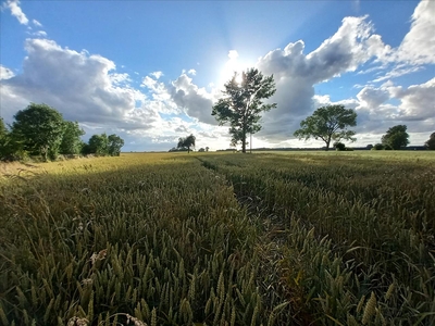 Działka na sprzedaż, Gryficki, Siemidarżno