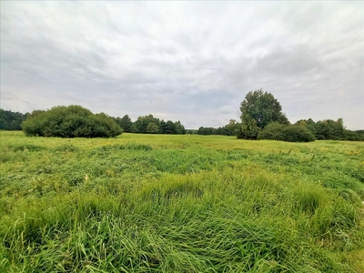 Działka na sprzedaż, Oleśnicki, Malerzów