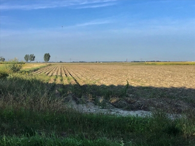 Działka na sprzedaż, Warszawski Zachodni, Bramki