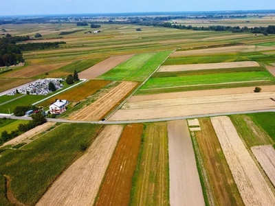 Działka rolna Dębno