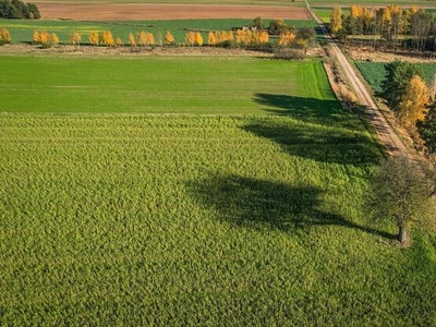 Piękna działka siedliskowa : 3 ha powiat miński!