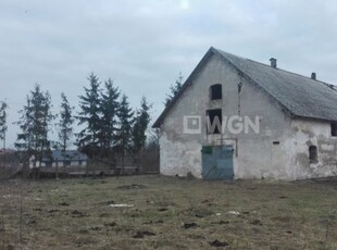 Hala produkcyjna na wynajem Gniew, Nicponia