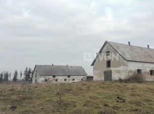 Hala przemysłowa na wynajem Gniew, Nicponia