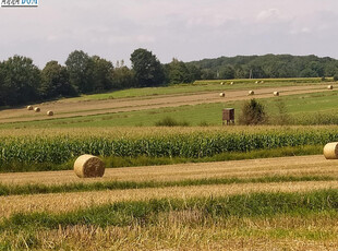 Tarnogórski, Zbrosławice