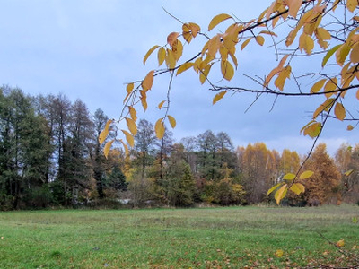 Działka budowlana