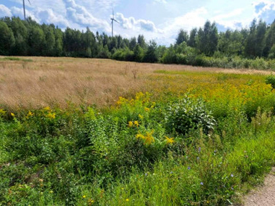 Działka budowlana Budy Mszczonowskie