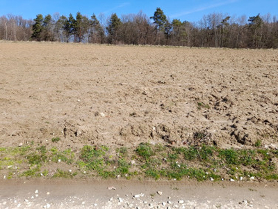 Działka budowlana Chojnik