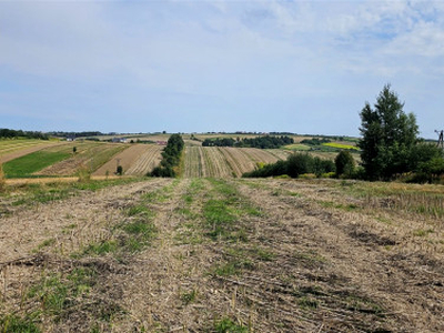 Działka budowlana Cianowice