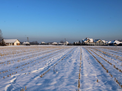 Działka budowlana Gdów