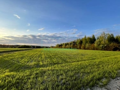 Działka budowlana Krakowiany