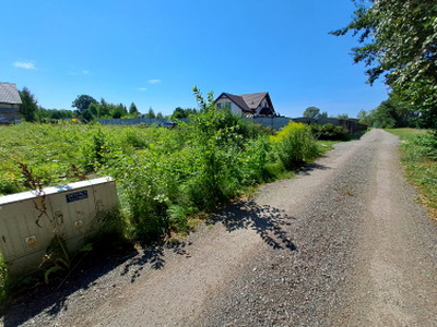 Działka budowlana Kury