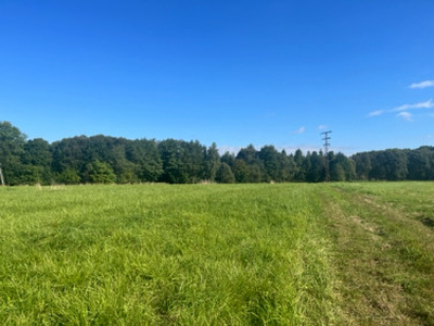 Działka budowlana Lubań