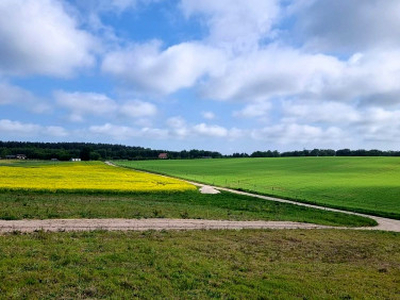 Działka budowlana, ul. Dębowa