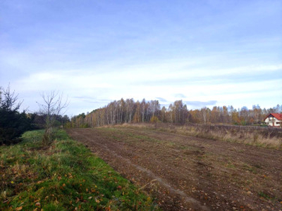 Działka budowlana, ul. Dąbrowskiego