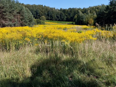 Działka budowlana, ul. Krakowska