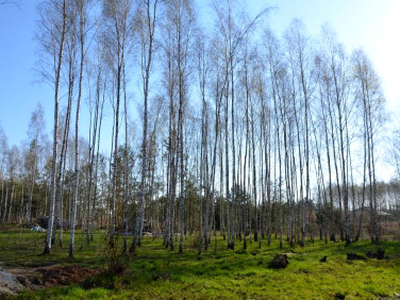 Działka budowlana, ul. Lubelska