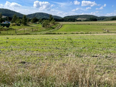 Działka budowlana Witoszów Dolny