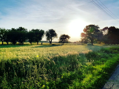 Działka Gleźno