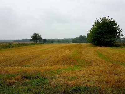 Działka komercyjna, ul. Dłotlice