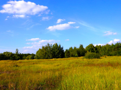 Działka przemysłowa Brzezińskie Holendry