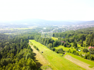 Działka rolna Borzęta