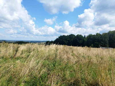 Działka rolna Lipinki