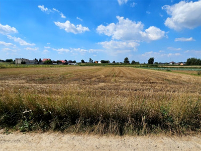 Działka rolna Odwiśle