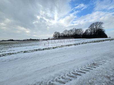 Działka rolna Płouszowice-Kolonia