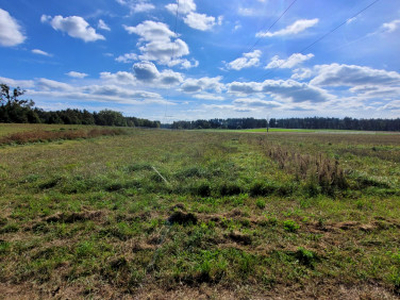 Działka rolna Przybiernów