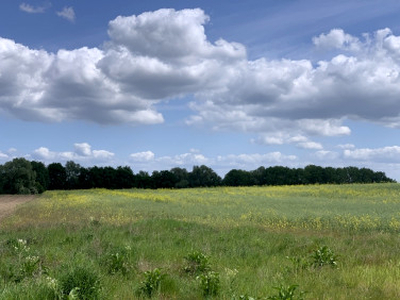 Działka rolna Stobno