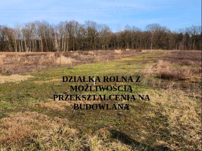 Działka rolna Świdnica