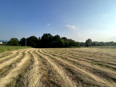 Działka rolno-budowlana Byszyce