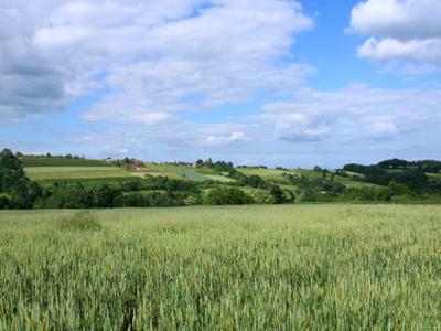 Działka rolno-budowlana Gruszów