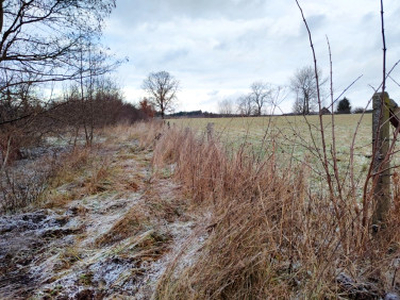 Działka rolno-budowlana Kożuchów