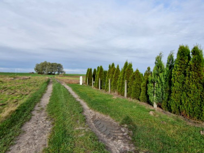 Działka rolno-budowlana Parnica