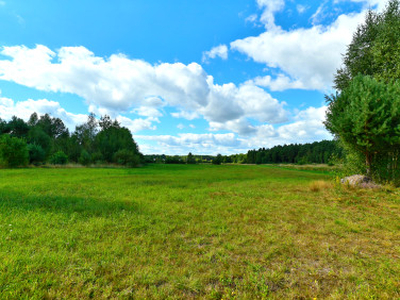 Działka rolno-budowlana Skrybicze