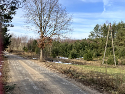 Działka rolno-budowlana, ul. Jarzębinowa