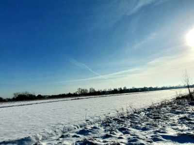 Działka rolno-budowlana, ul. Partyzantów