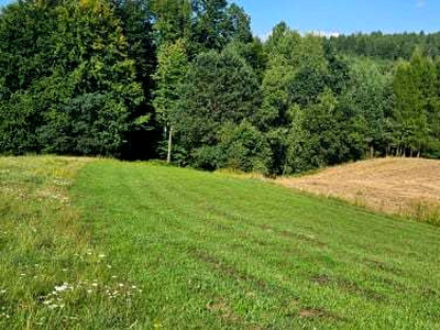 Działka rolno-budowlana, ul. Pod Górą