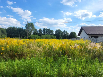 Działka Suchoczasy