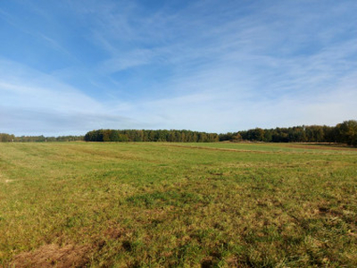 Działka, ul. Kawle