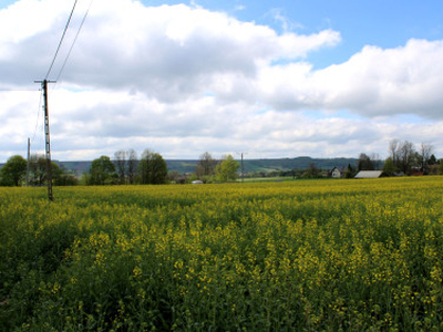 Działka Wierzchowisko