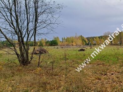 Zboiska gm. Radziejowice | MPZP | 1300m2 | S8