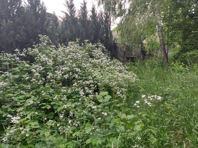 Działka budowlana Warszawa Wesoła, ogrodzona siatką brama wjazdową