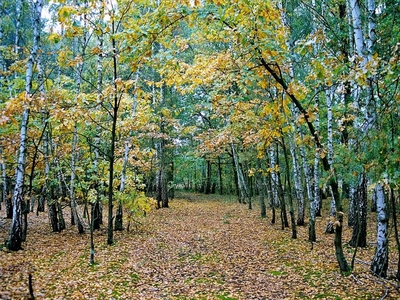 Działka na sprzedaż, Nowodworski, Secyminek