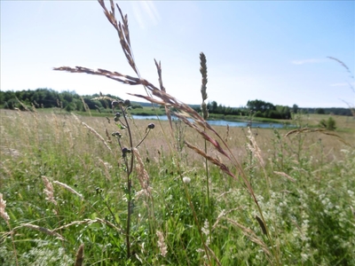 Działka na sprzedaż, Olsztyński, Biesal